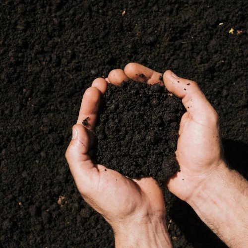 Signature by RINNEE’ Product Gallery — Natural & Eco-Friendly Range